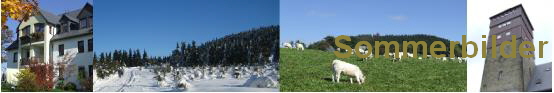 Sommerbilder
